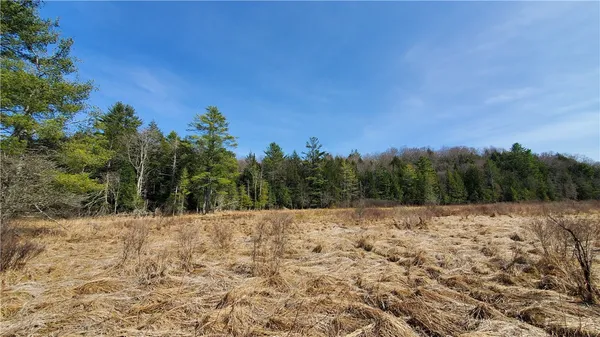 $32,900 | Lot#10 Goddards Road, Mount Vision, NY 13810