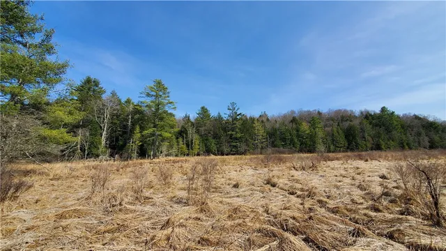 $32,900 | Lot #10 Goddards Road, Mount Vision, NY 13810