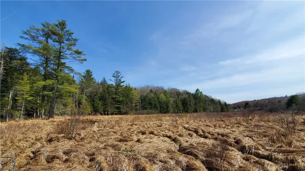 $32,900 | Lot#10 Goddards Road, Mount Vision, NY 13810