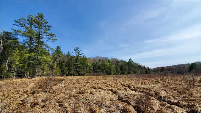 $32,900 | Lot #10 Goddards Road, Mount Vision, NY 13810