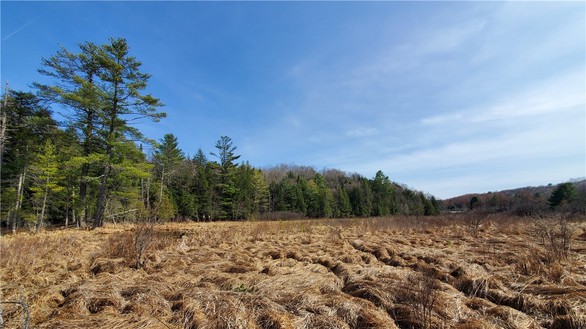 Lot #10 Goddards Road Mount Vision, NY 13810 - Photo 17 of 30