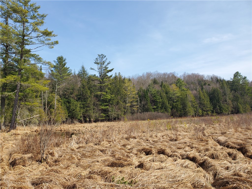 Lot #10 Goddards Road Mount Vision, NY 13810 - Photo 18 of 30