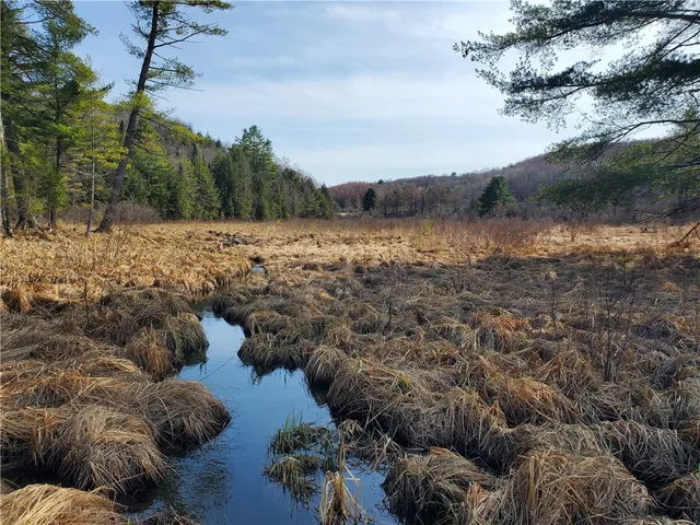 $32,900 | Lot #10 Goddards Road, Mount Vision, NY 13810