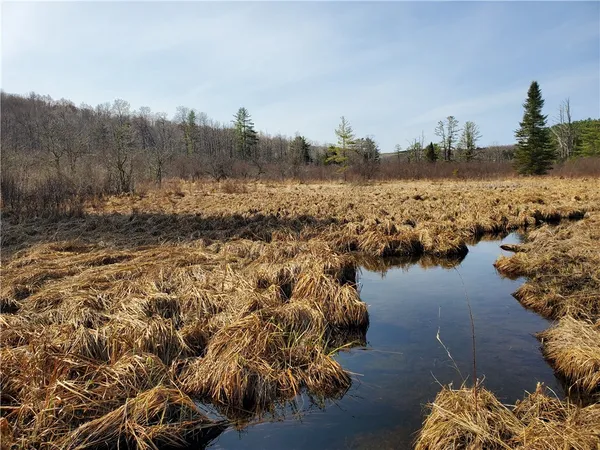 $32,900 | Lot#10 Goddards Road, Mount Vision, NY 13810