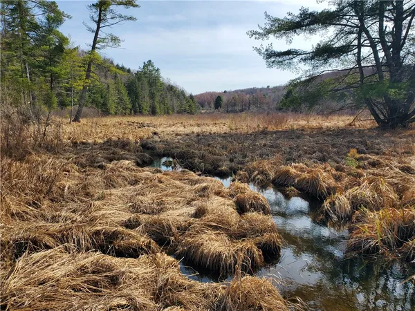 $32,900 | Lot#10 Goddards Road, Mount Vision, NY 13810