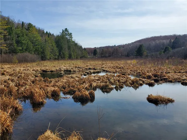 $32,900 | Lot#10 Goddards Road, Mount Vision, NY 13810