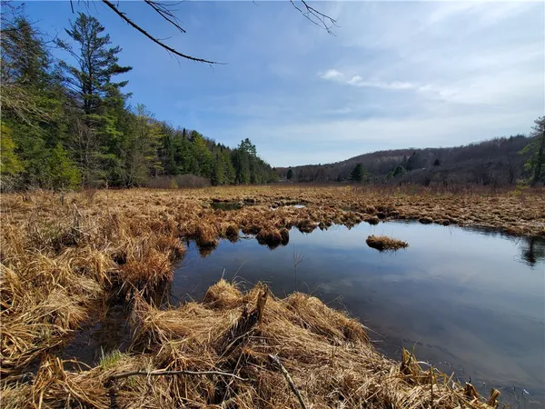 $32,900 | Lot#10 Goddards Road, Mount Vision, NY 13810