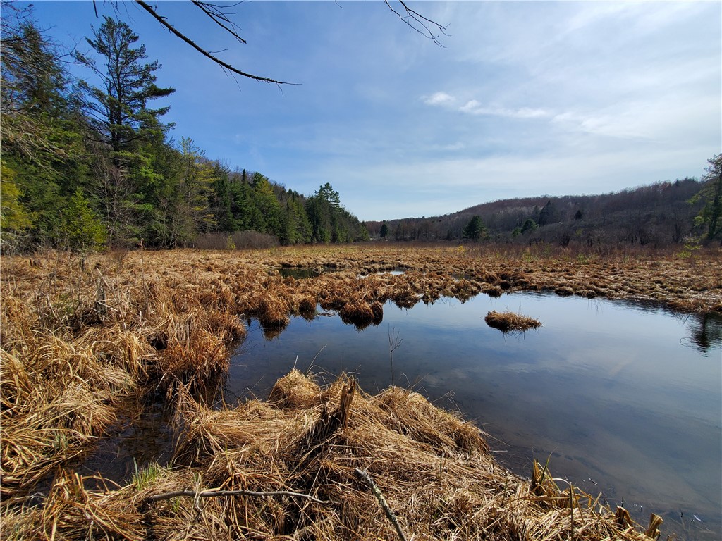 Lot #10 Goddards Road Mount Vision, NY 13810 - Photo 24 of 30