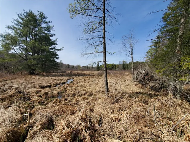 $32,900 | Lot #10 Goddards Road, Mount Vision, NY 13810