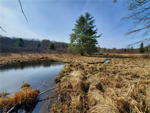 $32,900 | Lot#10 Goddards Road, Mount Vision, NY 13810