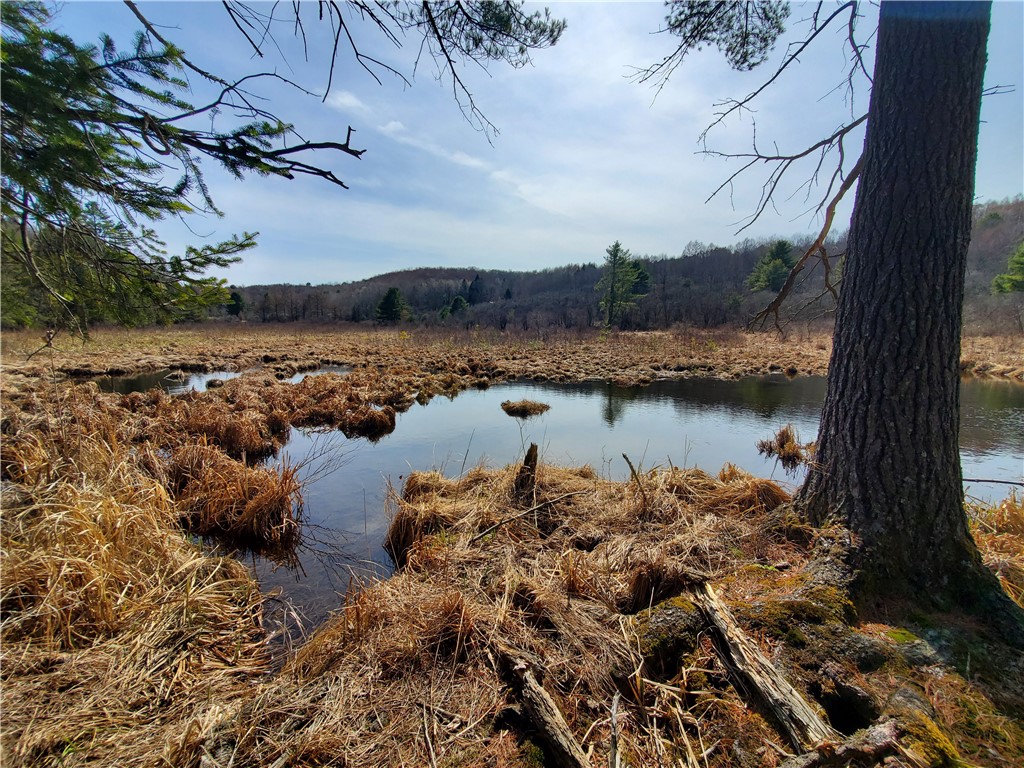 Lot #10 Goddards Road Mount Vision, NY 13810 - Photo 27 of 30