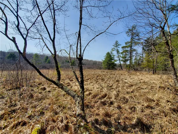 $32,900 | Lot#10 Goddards Road, Mount Vision, NY 13810