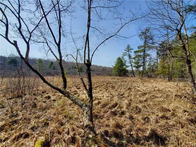 $32,900 | Lot #10 Goddards Road, Mount Vision, NY 13810
