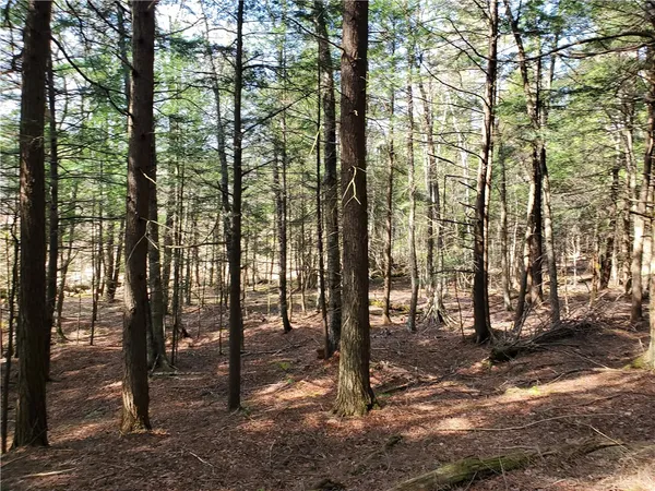 $32,900 | Lot#10 Goddards Road, Mount Vision, NY 13810