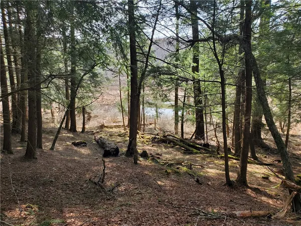 $32,900 | Lot#10 Goddards Road, Mount Vision, NY 13810