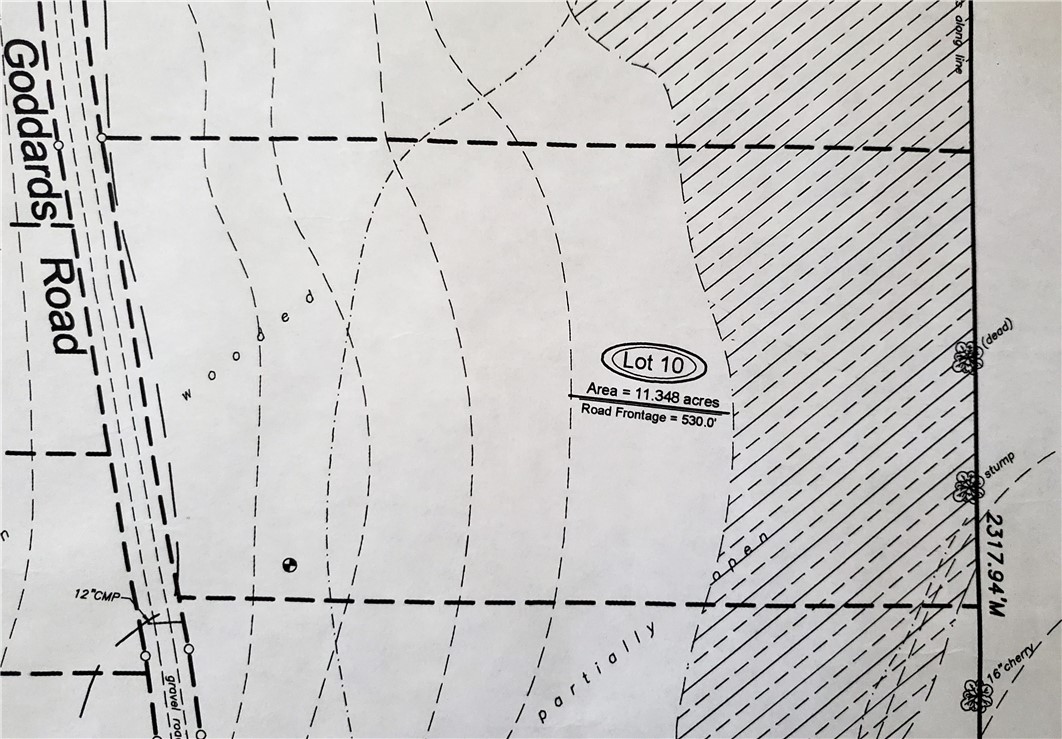 Lot #10 Goddards Road Mount Vision, NY 13810 - Photo 4 of 30