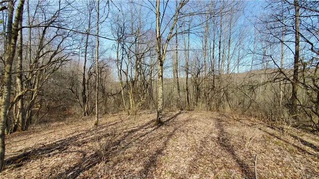 $32,900 | Lot #10 Goddards Road, Mount Vision, NY 13810