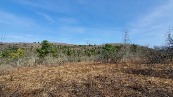 $32,900 | Lot#10 Goddards Road, Mount Vision, NY 13810