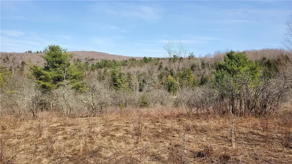 $32,900 | Lot#10 Goddards Road, Mount Vision, NY 13810