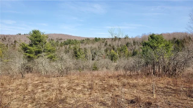 $32,900 | Lot #10 Goddards Road, Mount Vision, NY 13810