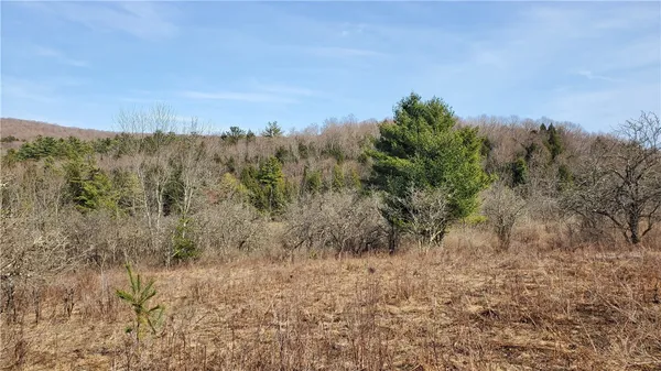 $32,900 | Lot#10 Goddards Road, Mount Vision, NY 13810