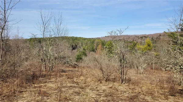 $32,900 | Lot#10 Goddards Road, Mount Vision, NY 13810