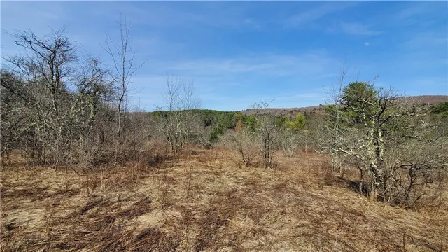$32,900 | Lot #10 Goddards Road, Mount Vision, NY 13810