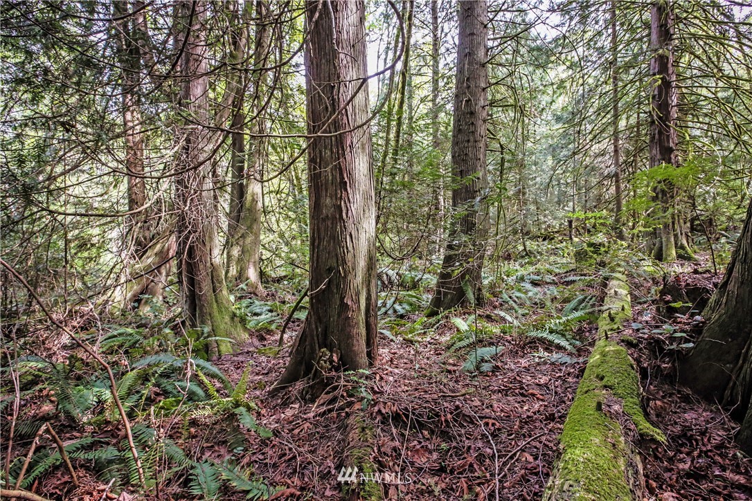 71 Fraser Road Southeast Port Orchard, WA 98367 - Photo 1 of 17 Gallery Image 1