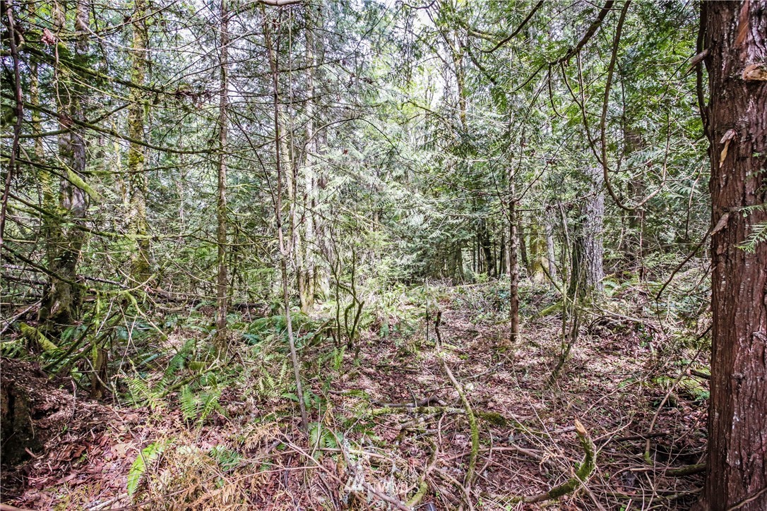 71 Fraser Road Southeast Port Orchard, WA 98367 - Photo 13 of 17 Gallery Image 13