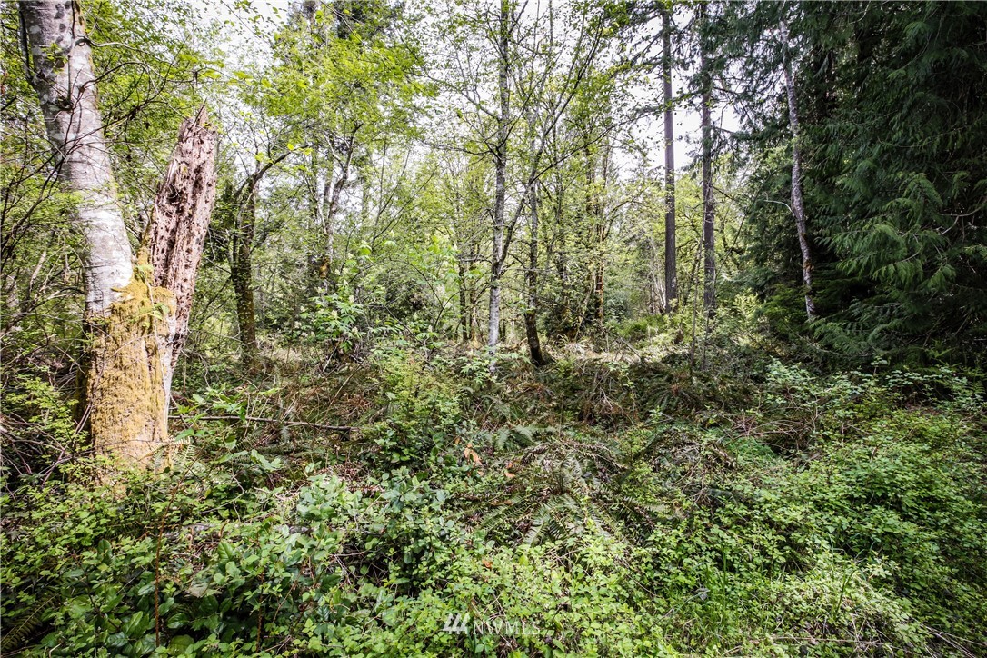 71 Fraser Road Southeast Port Orchard, WA 98367 - Photo 3 of 17 Gallery Image 3
