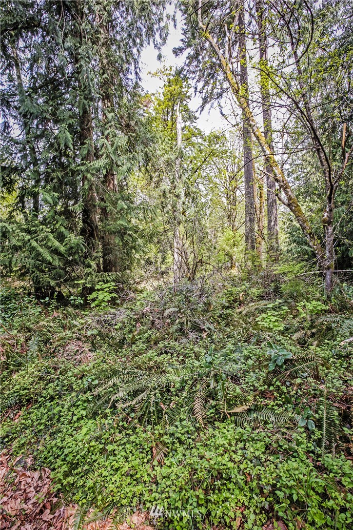 71 Fraser Road Southeast Port Orchard, WA 98367 - Photo 4 of 17 Gallery Image 4