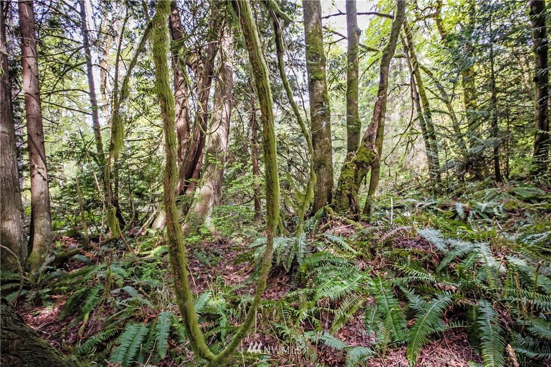 71 Fraser Road Southeast Port Orchard, WA 98367 - Photo 8 of 17 Gallery Image 8