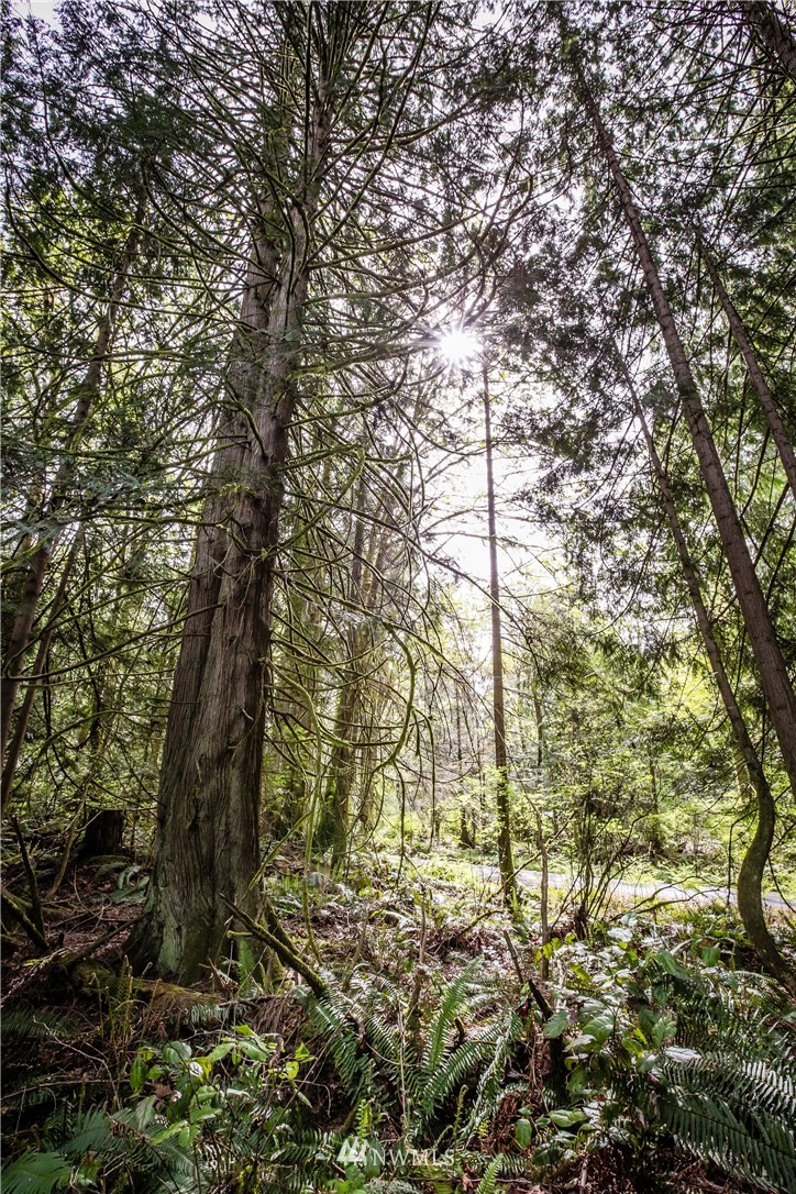 71 Fraser Road Southeast Port Orchard, WA 98367 - Photo 9 of 17 Gallery Image 9