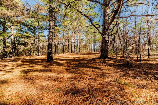 $249,900 | 62 Scooter Lane, Cameron, NC 28326