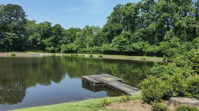 a body of water with a tree in the background