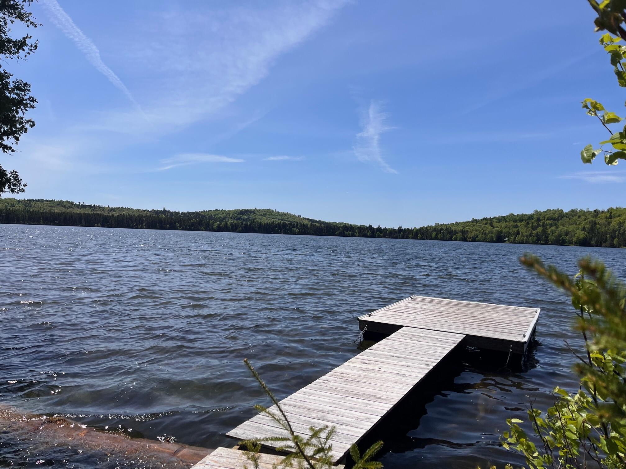 220 Quimby Pond Road Rangeley, ME 04970 - Photo 7 of 38 IMG_6788