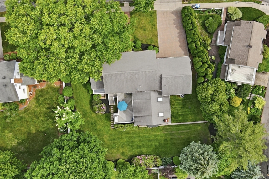 81 Brettwood Road Belmont, MA 02478 - Photo 30 of 31