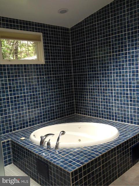 7702 Elba Road Alexandria, VA 22306 - Photo 17 of 29 Bath (Master)
