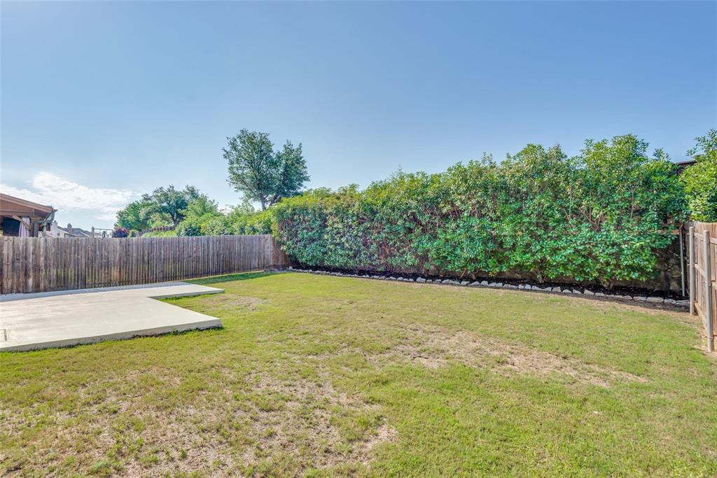 2344 Ranchview Drive Little Elm, TX 75068 - Photo 24 of 24 Expansive backyard featuring a concrete patio area, mature privacy hedges, and wood fencing