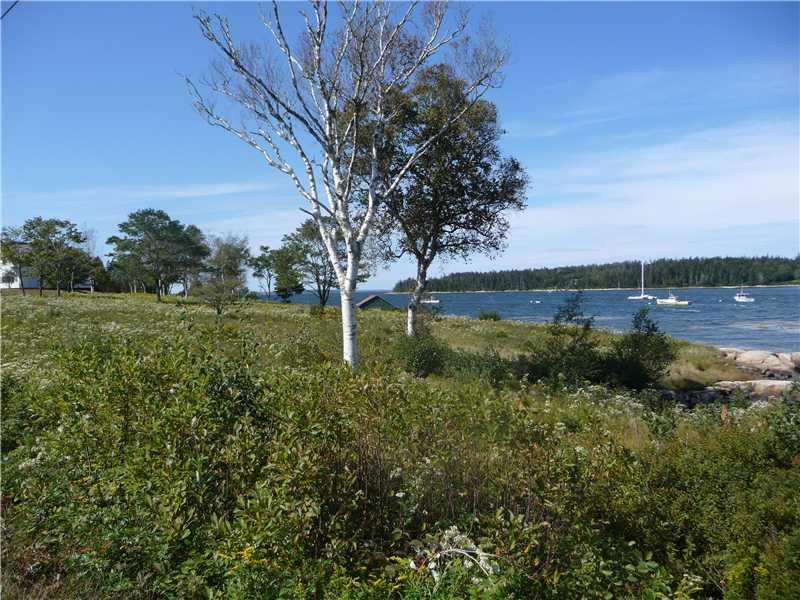226 Clark Point Road Tremont, ME 04612 - Photo 1 of 7 View. Lovely view of down Goose Cove...