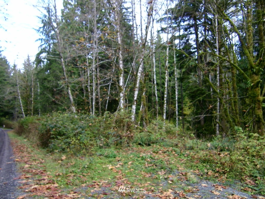 1015 10xx Price Road Snohomish, WA 98290 - Photo 11 of 19 Gallery Image 11