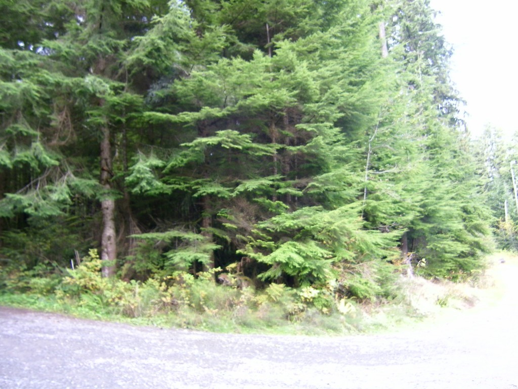 1015 10xx Price Road Snohomish, WA 98290 - Photo 13 of 19 Gallery Image 13
