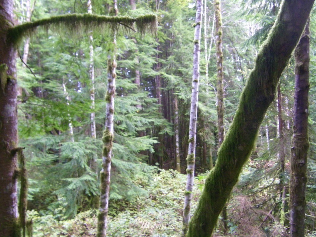 1015 10xx Price Road Snohomish, WA 98290 - Photo 14 of 19 Gallery Image 14
