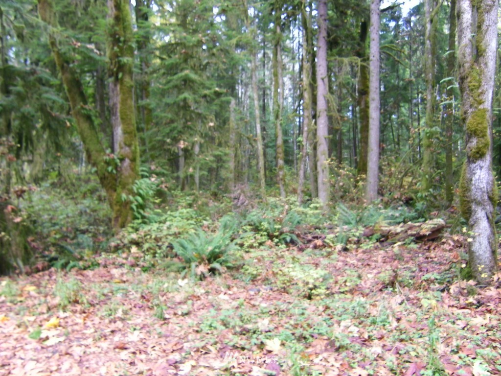 1015 10xx Price Road Snohomish, WA 98290 - Photo 16 of 19 Gallery Image 16