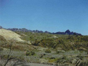 8 A Rio Vista Peoria, AZ 85381 - Photo 1 of 1 Primary Photo