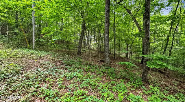 $112,900 | Graves Hollow, Maynardville, TN 37807