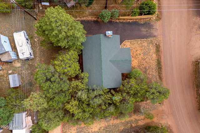 a view of a backyard with large trees and plants