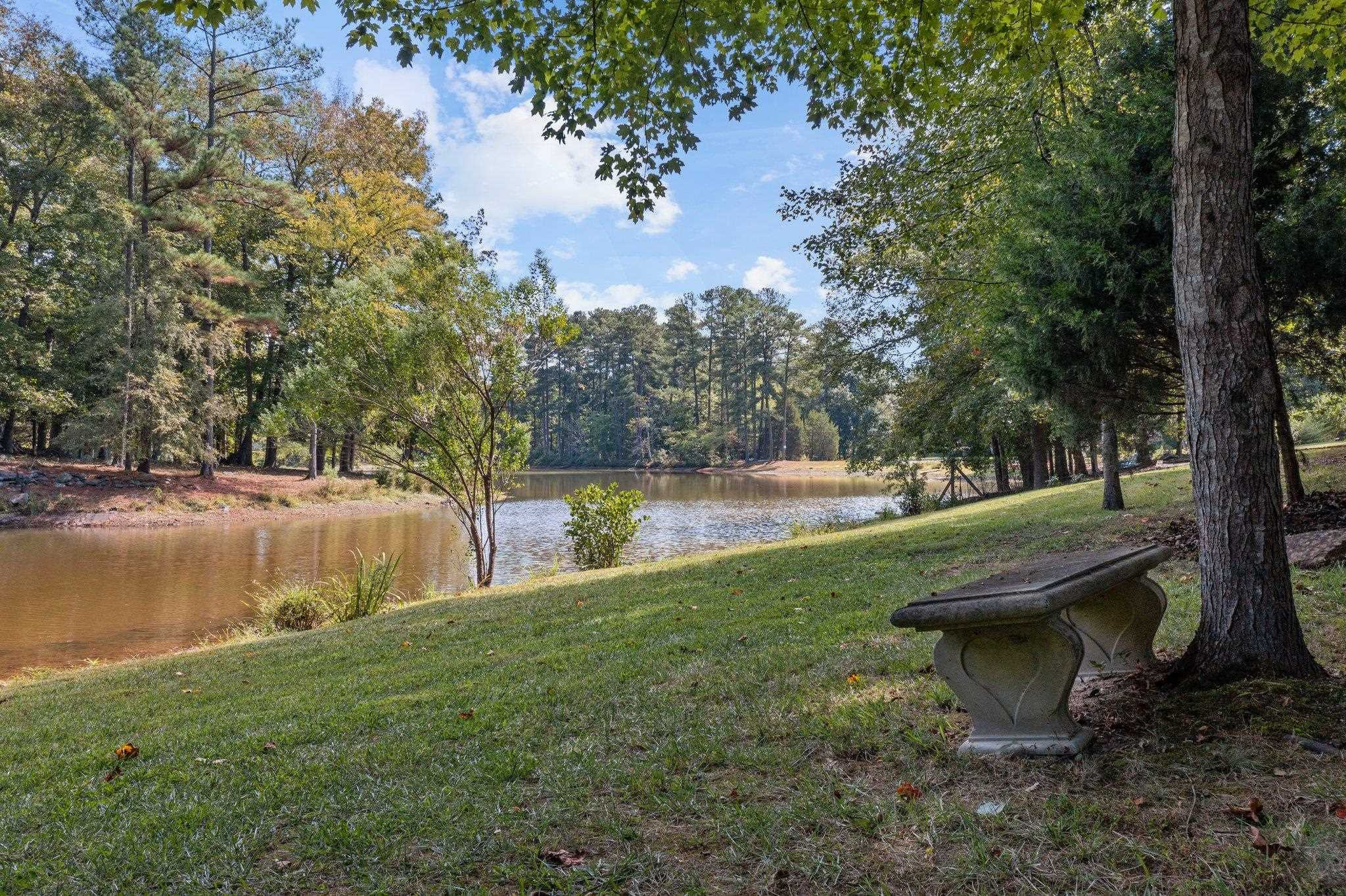 5308 Craig Road Durham, NC 27712 - Photo 4 of 46 a view of a garden with plants and large trees