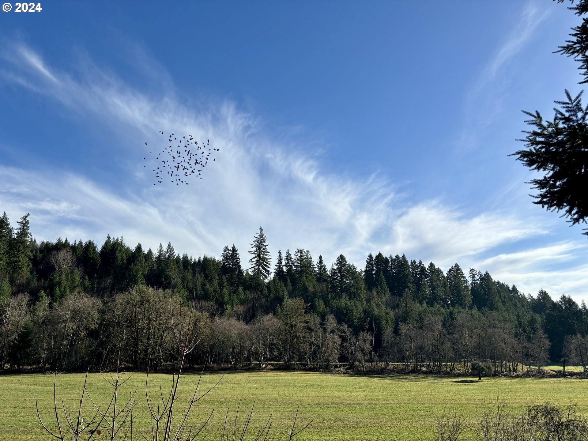 23300 Northwest Bravo Road Buxton, OR 97109 - Photo 3 of 47 a view of a golf course with green space