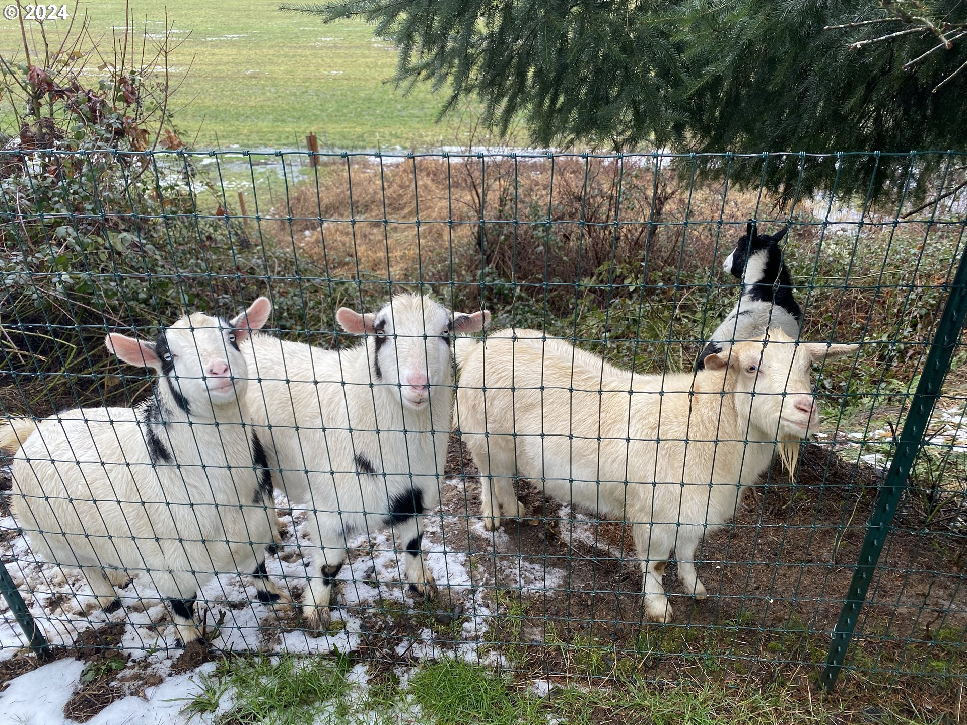 23300 Northwest Bravo Road Buxton, OR 97109 - Photo 43 of 47 a view of outdoor space and lake view